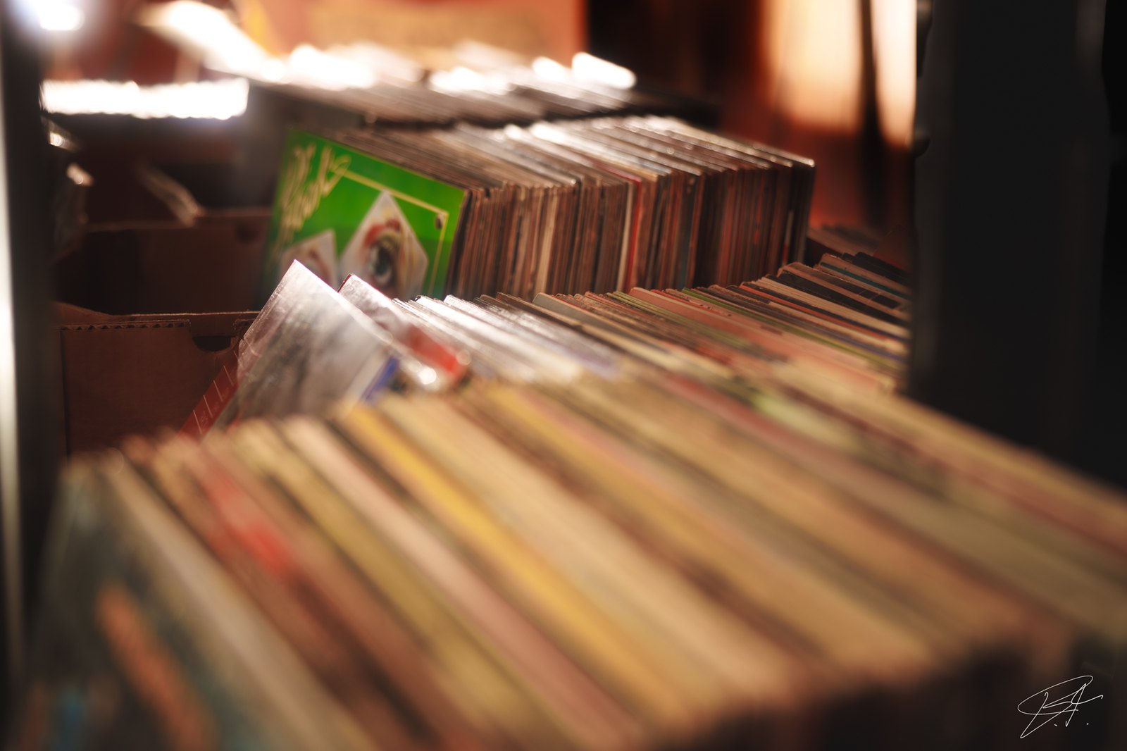 Record sleeves lined up in sunlit crates